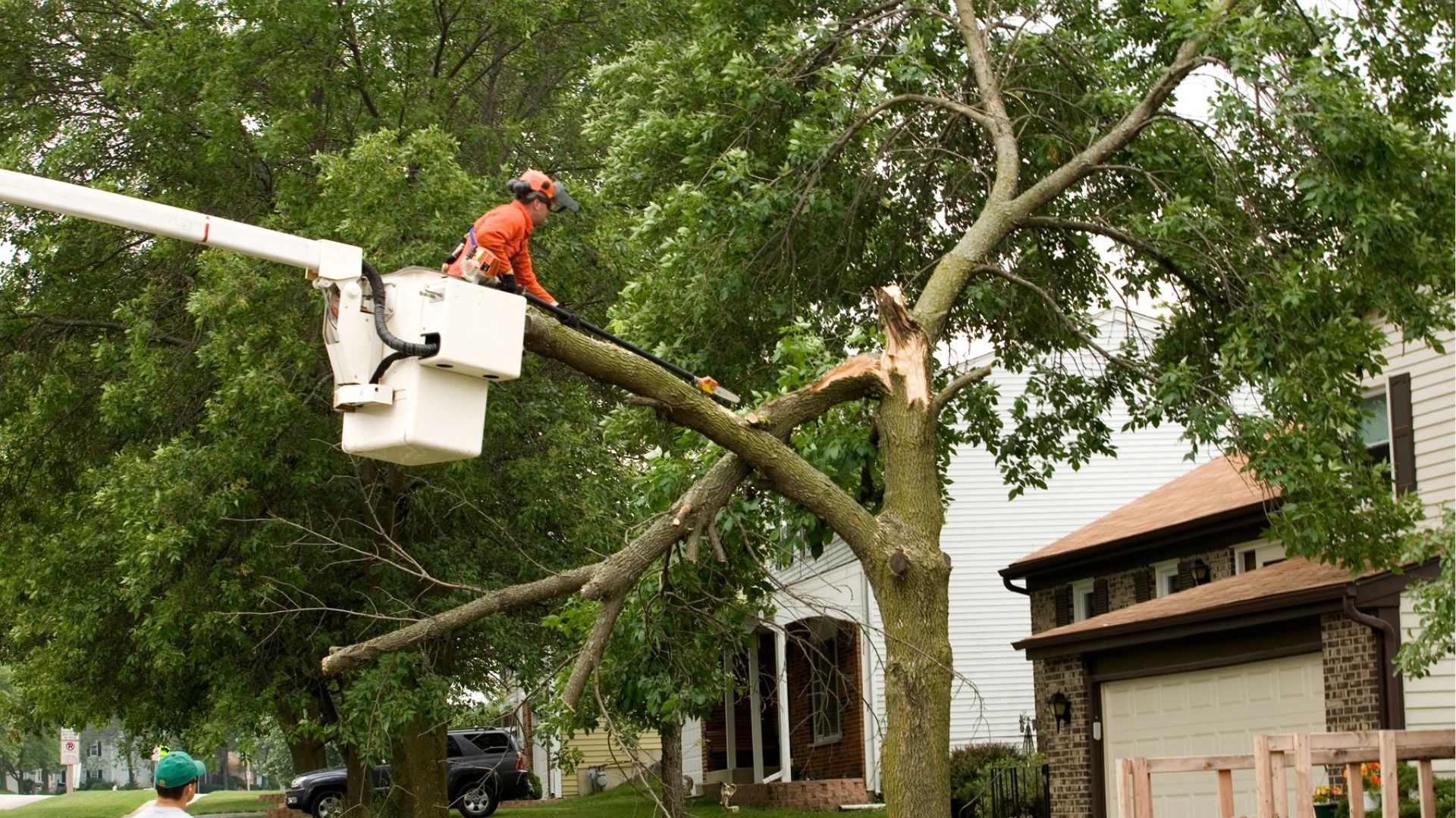 Removing broken branch that was damaged during a storm